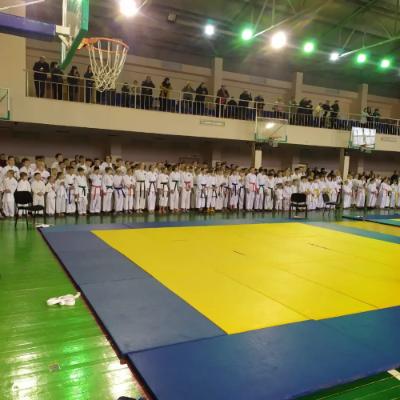 Открытое первенство Лесозаводского городского округа по каратэ, посвящен