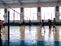 Первенство ЛГО по волейболу среди школ городского округа.