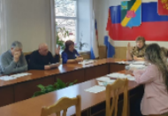 16 февраля состоялись заседания сразу трех постоянных комиссий Думы