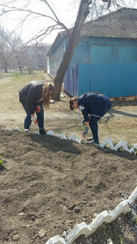 суб9.png суб9.png