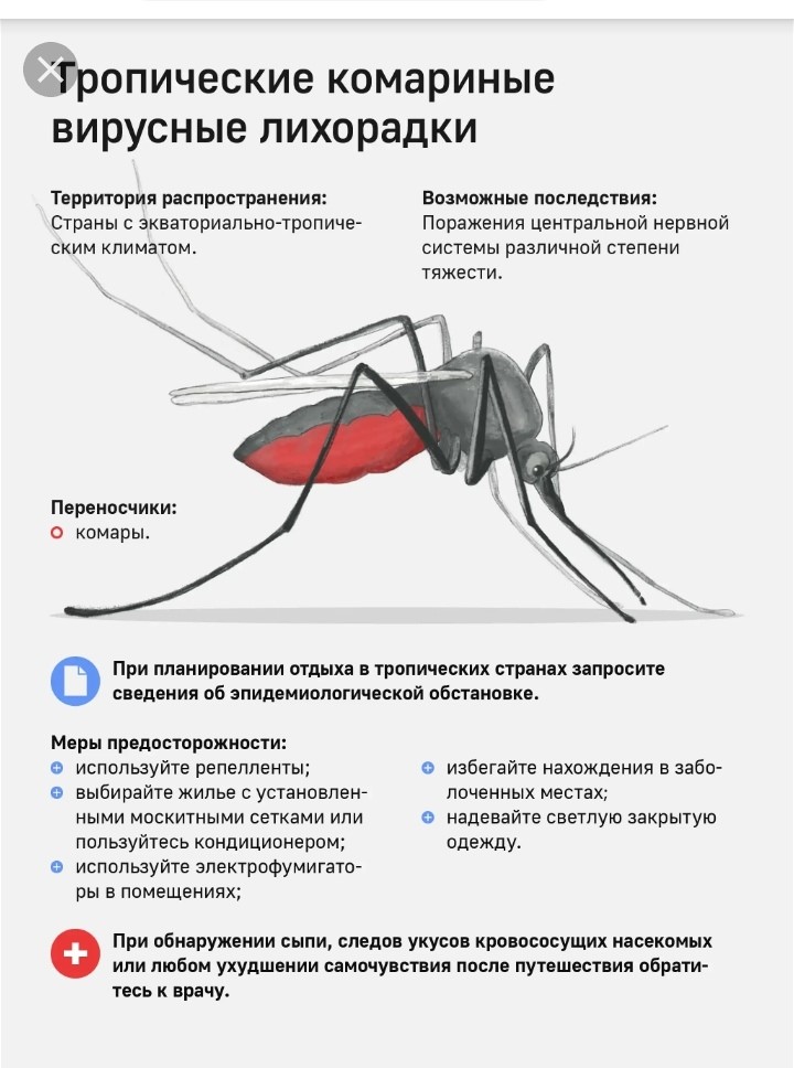памятка-отдыззаграницей.jpg памятка-отдыззаграницей.jpg