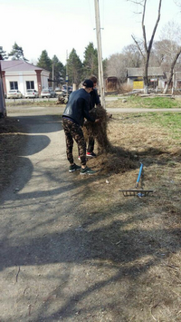 суб11.png суб11.png