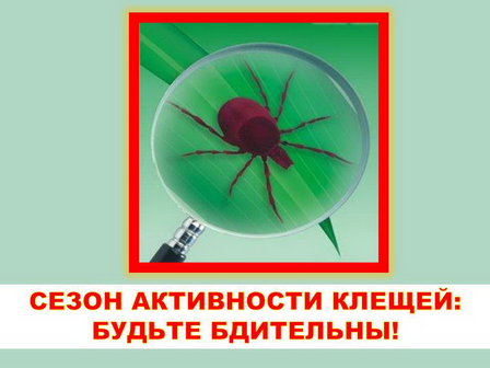 Слайд1.png Слайд1.png