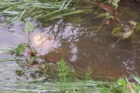 сайт3.jpg сайт3.jpg