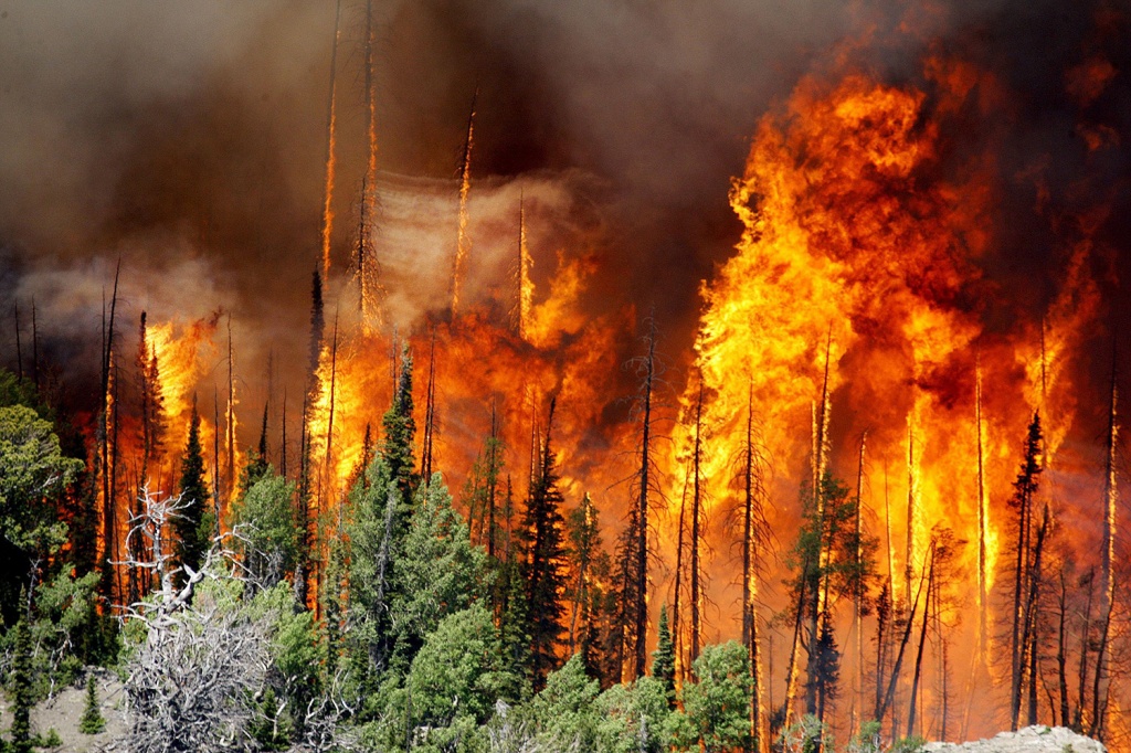 forest_fire_high.jpg