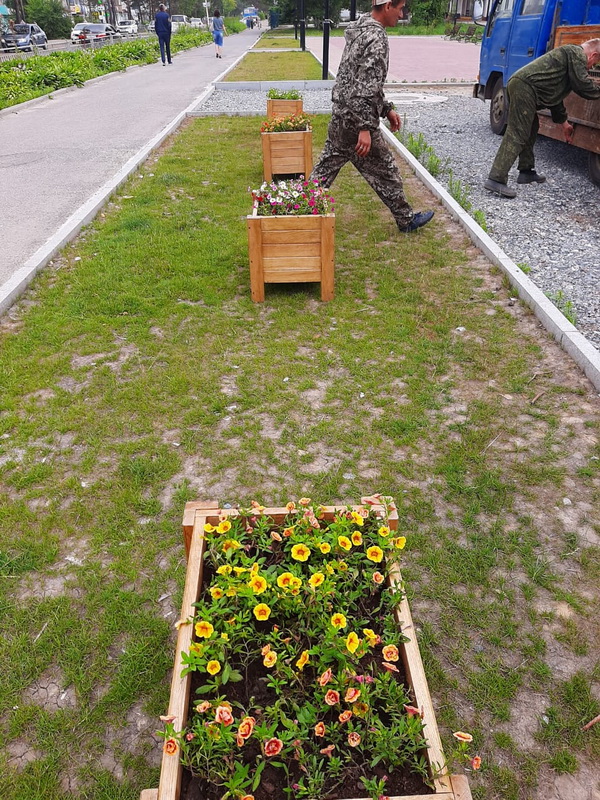 цветы1.jpg цветы1.jpg