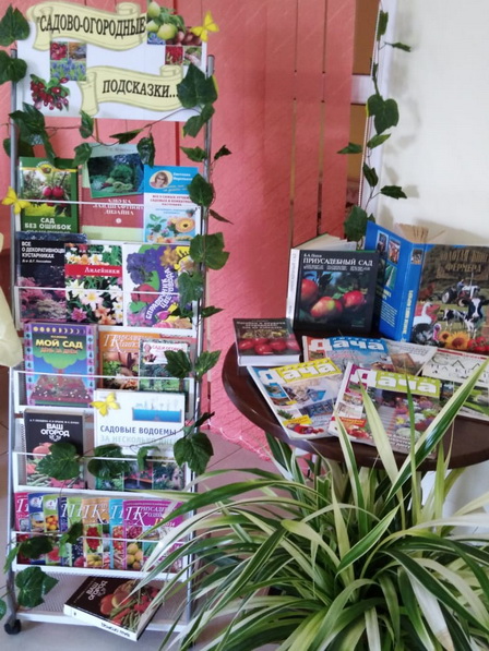 сайтсад3.jpg сайтсад3.jpg