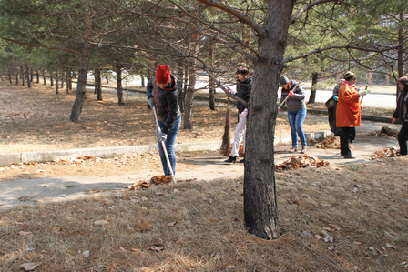 сайт5.png сайт5.png