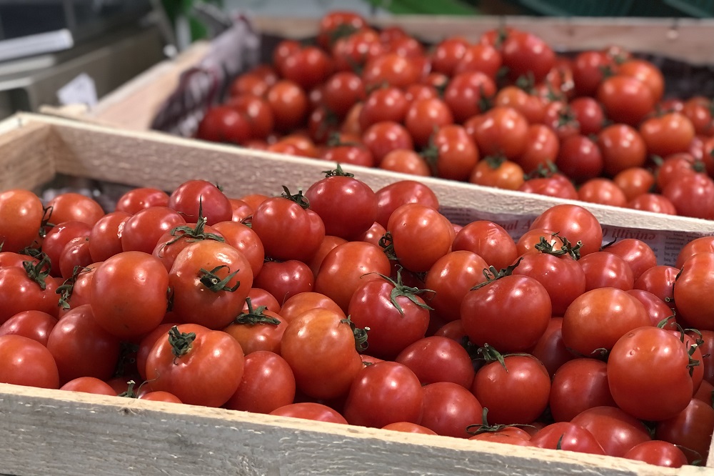 СМИ.jpg СМИ.jpg