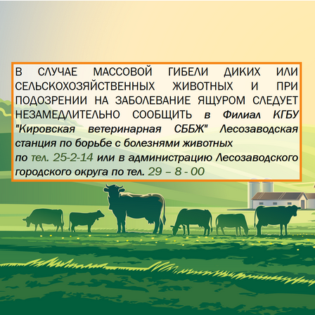 сайт-ящур.png сайт-ящур.png