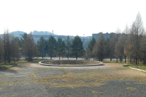 будника1.jpg будника1.jpg