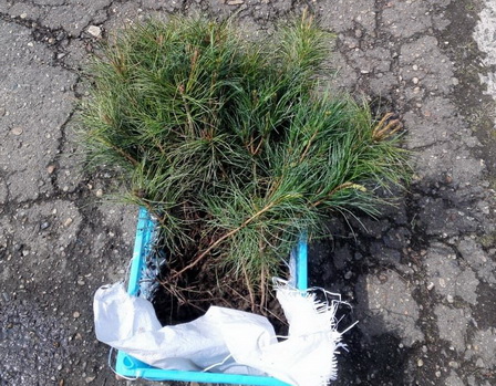 4-сайт.jpg 4-сайт.jpg