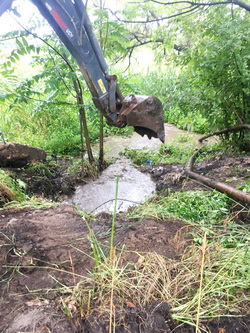 сайт4.jpg сайт4.jpg