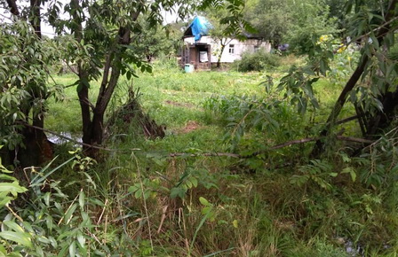 сайт2.jpg сайт2.jpg