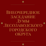 15 января 2024 года состоялось внеочередное заседание Думы Лесозаводского городского округа