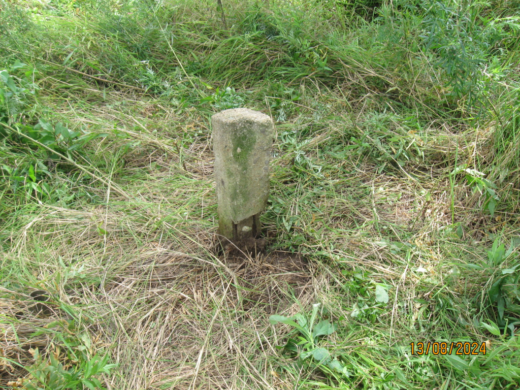 ггс2.jpg ггс2.jpg